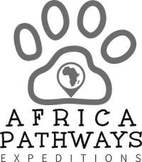 africa pathways logo