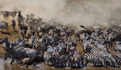 great migration 5