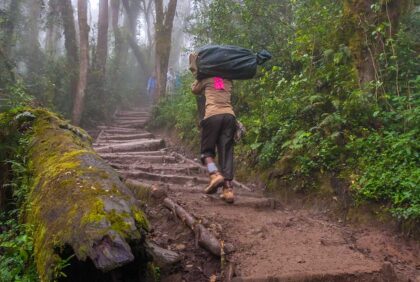29483549 - a heavily ladened porter is heading up the trail to a campsite with a trekkers bag