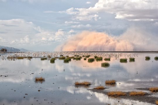lake-natron-tanzania