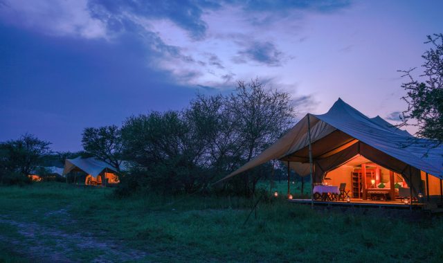 Asanja-Grumeti-10-scaled