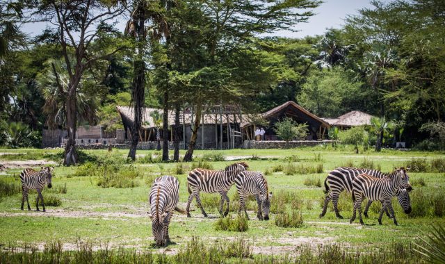 Chem Chem - Tanzania