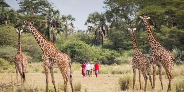 Chem Chem - Tanzania