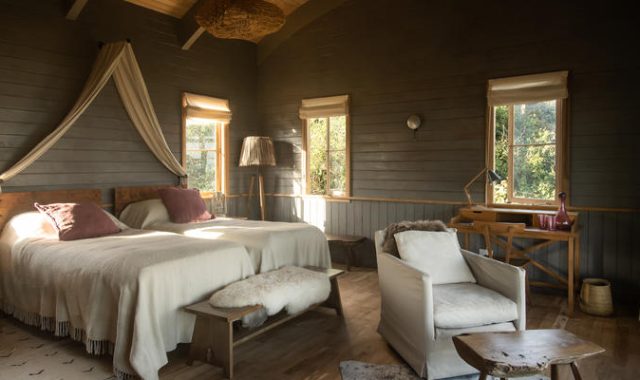 Entamanu Ngorongoro