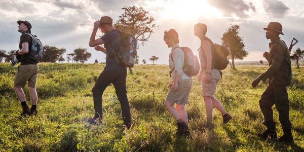 Green Camp Walk Zone