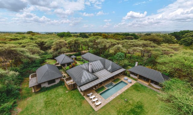 Hamerkop-House Hamerkop-House