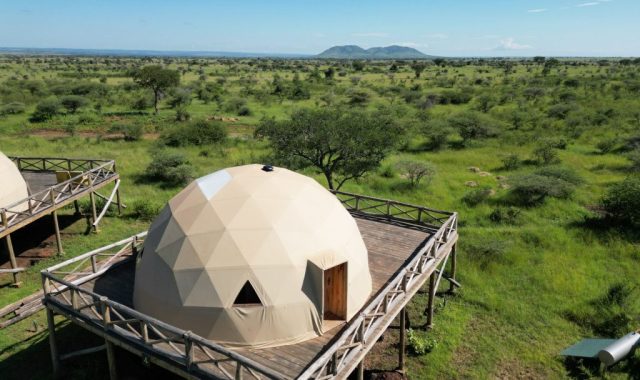 Kuoom serengeti Kuoom serengeti