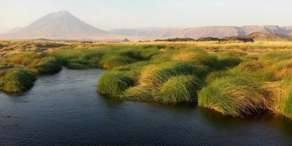 Lake Natron Camp 1