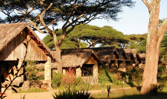 Ndutu Safari Lodge 1