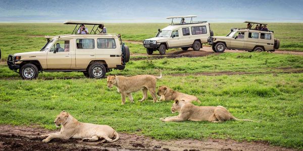 Ngorongoro 4a Ngorongoro 4a