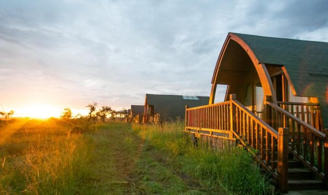 Serengeti Ark Safari Lodge