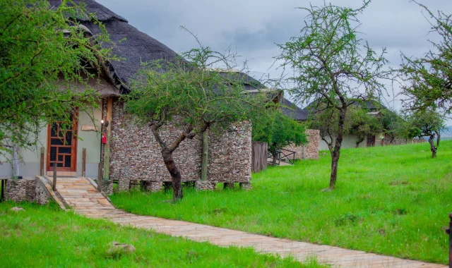 Serengeti Safari Lodge
