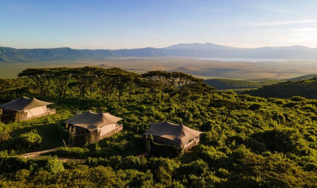 The wilderness collection Ngorongoro