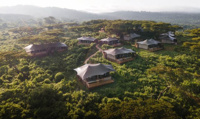 The wilderness collection Ngorongoro
