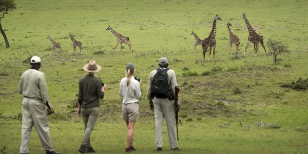Walking-safari-Arusha-National-Park