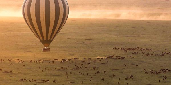 balloon1 (2) balloon1 (2)