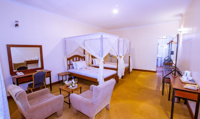 eileen trees 2 eileen trees 2