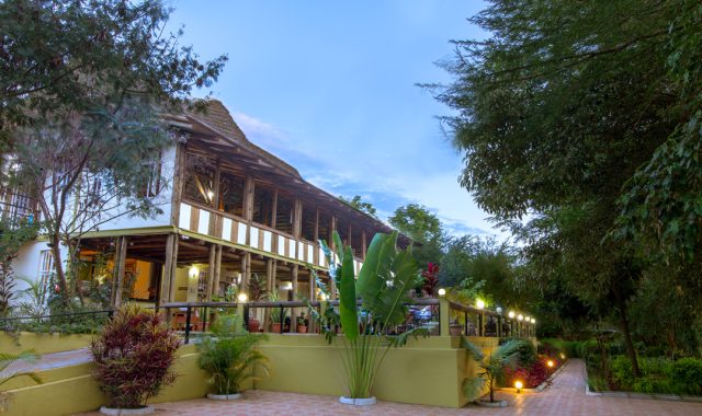 eileen trees 3 eileen trees 3