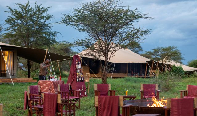 erengeti-acacia-bliss12