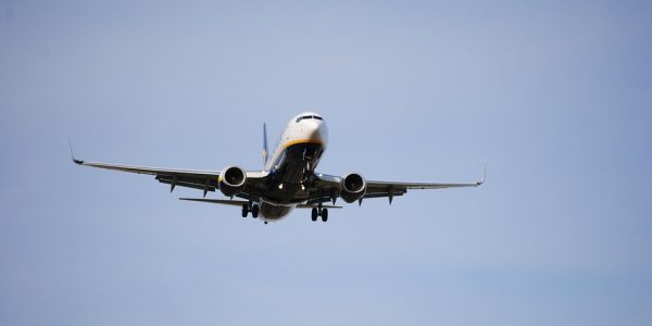 flight flight