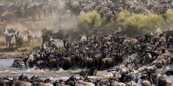 great migration 1 great migration 1