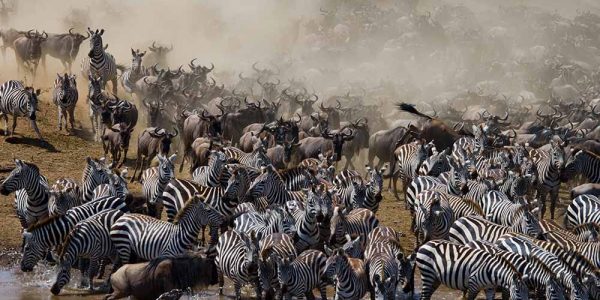 great migration 5 great migration 5