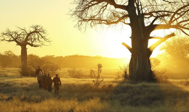 kichaka-2015-241 kichaka-2015-241