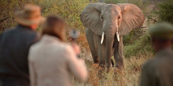 kichaka Walking safari