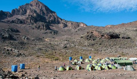 kilimanjaro 9