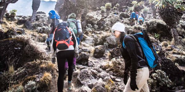 kilimanjaro_time_for_change 1