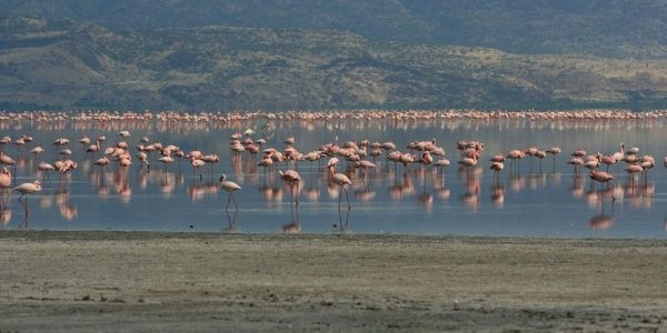 lake-natron-10[2]