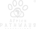 logo white