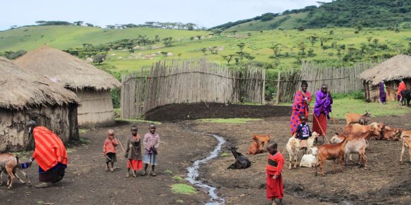 maasai village maasai village