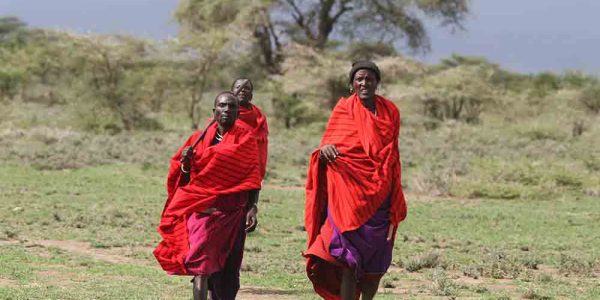 masai 4 masai 4