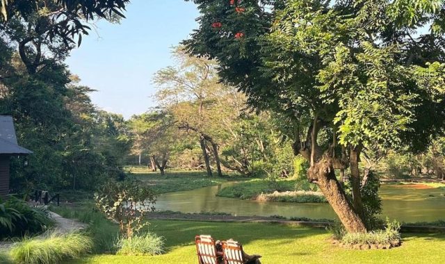 mount meru game lodge