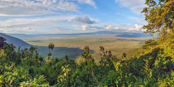 ngorongoro 1 ngorongoro 1
