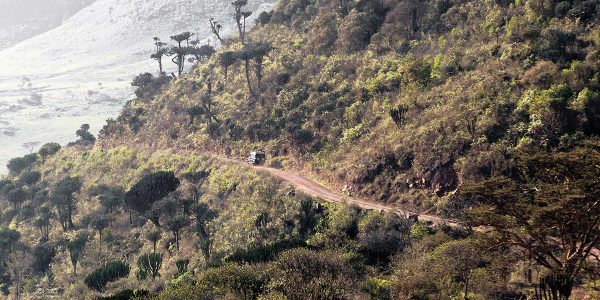 ngorongoro 1c