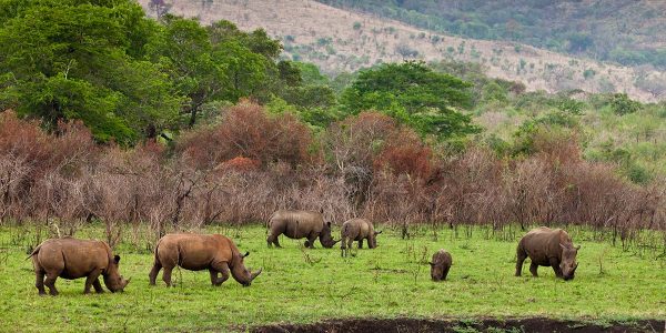 ngorongoro (6)
