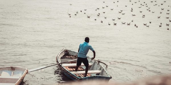 pexels-aditya-gangurde-116750293-9786432