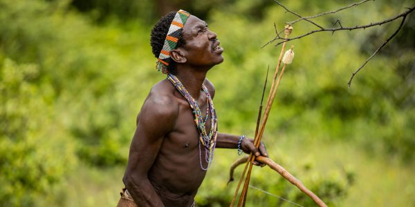 pexels-balazsimon-6901088