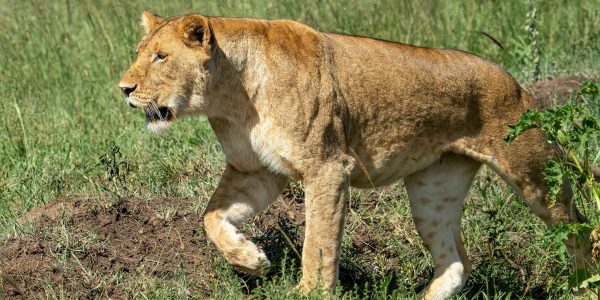 pexels-chris-clark-1933184-16116692