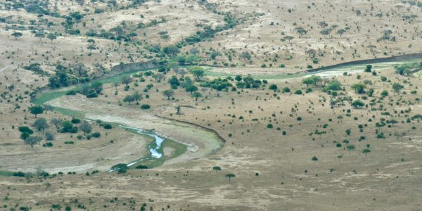 pexels-dirk-pothen-2149332904-30678630