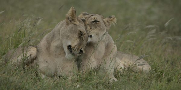 pexels-dkeats-11153560