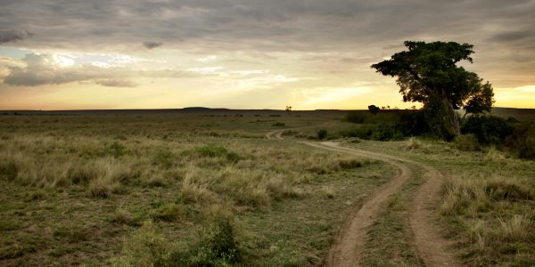 pexels-edgar-okioga-221433-5521699