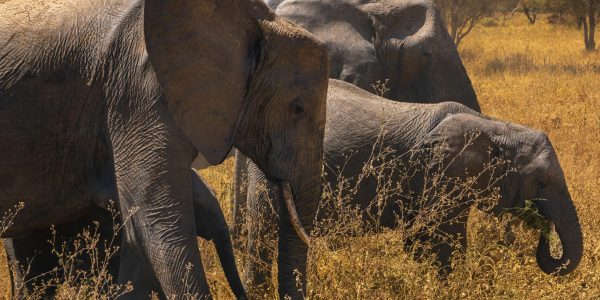 pexels-gsn-travel-28708344