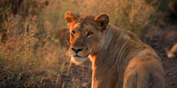 pexels-ignacio-marchan-9279510-6088706