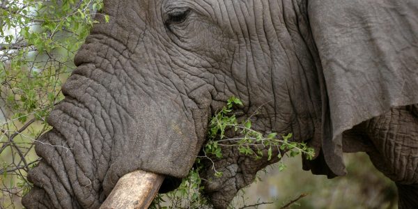 pexels-konzab-12570272