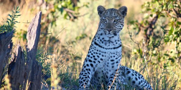 pexels-lara-nuchowicz-1189396753-21939350