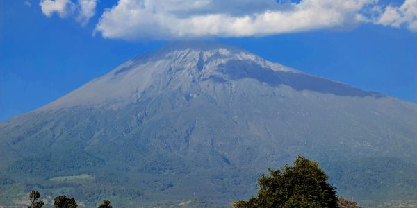 pexels-mn-str-1235237659-30847954