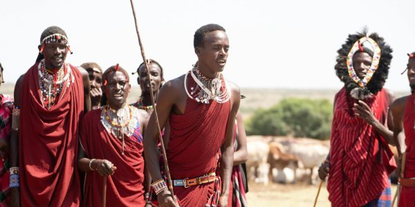 pexels-mnmshakir-35034038